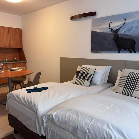 Base Camp Alpine Apartments Breuil-Cervinia Cameră foto
